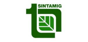 sintamig